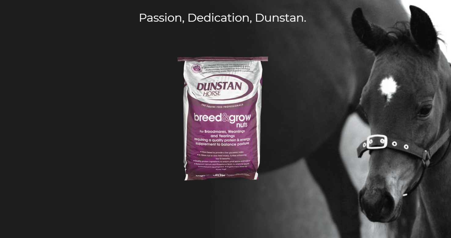 What to feed your horses in winter – Insider tips from Dunstan