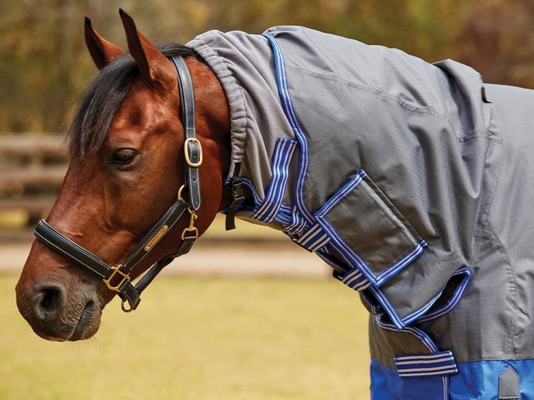 Weatherbeeta Horse Covers