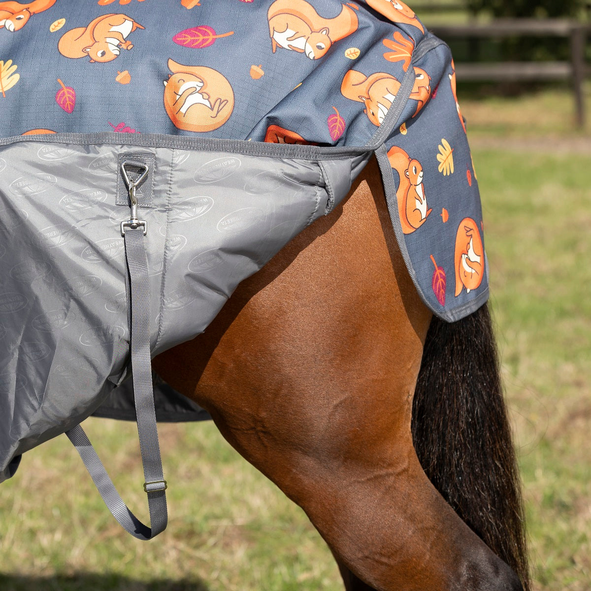Weatherbeeta ComFiTec Essential Combo Neck Medium - Squirrel Print