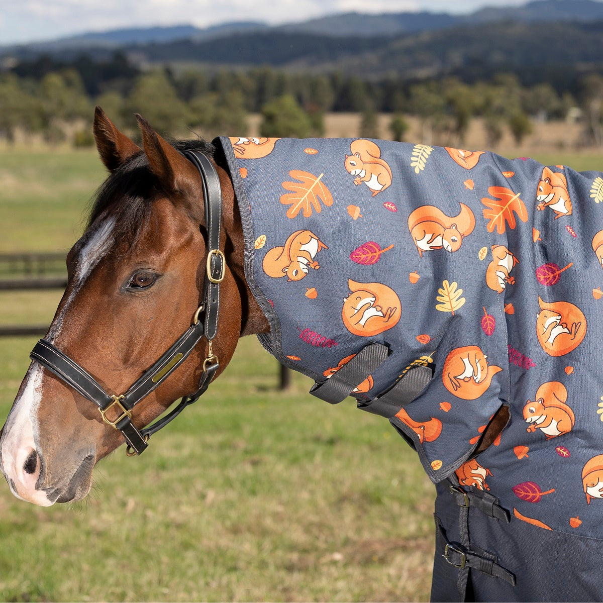 Weatherbeeta ComFiTec Essential Combo Neck Medium - Squirrel Print