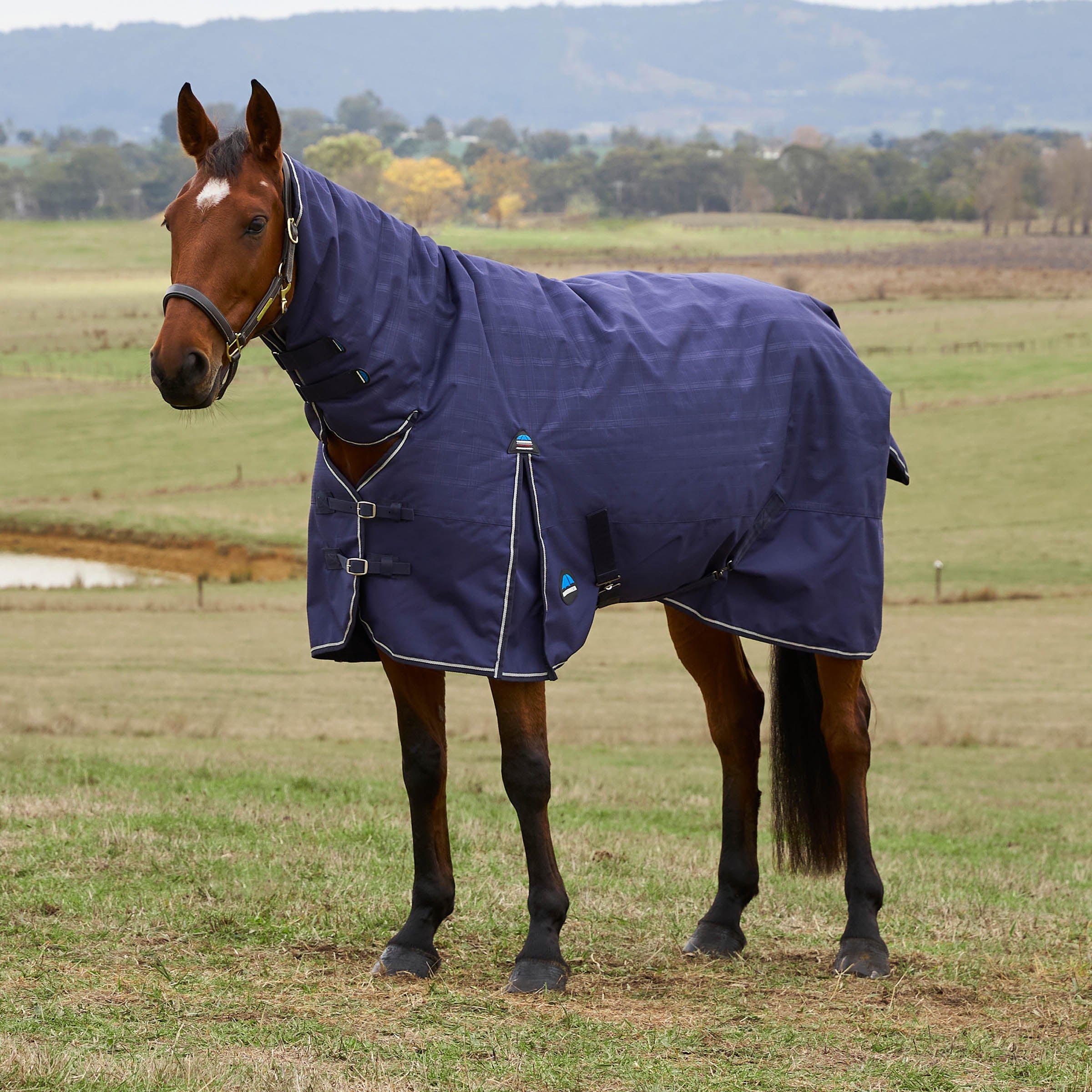 Weatherbeeta Comfitec Prelim Turnout Combo Cover
