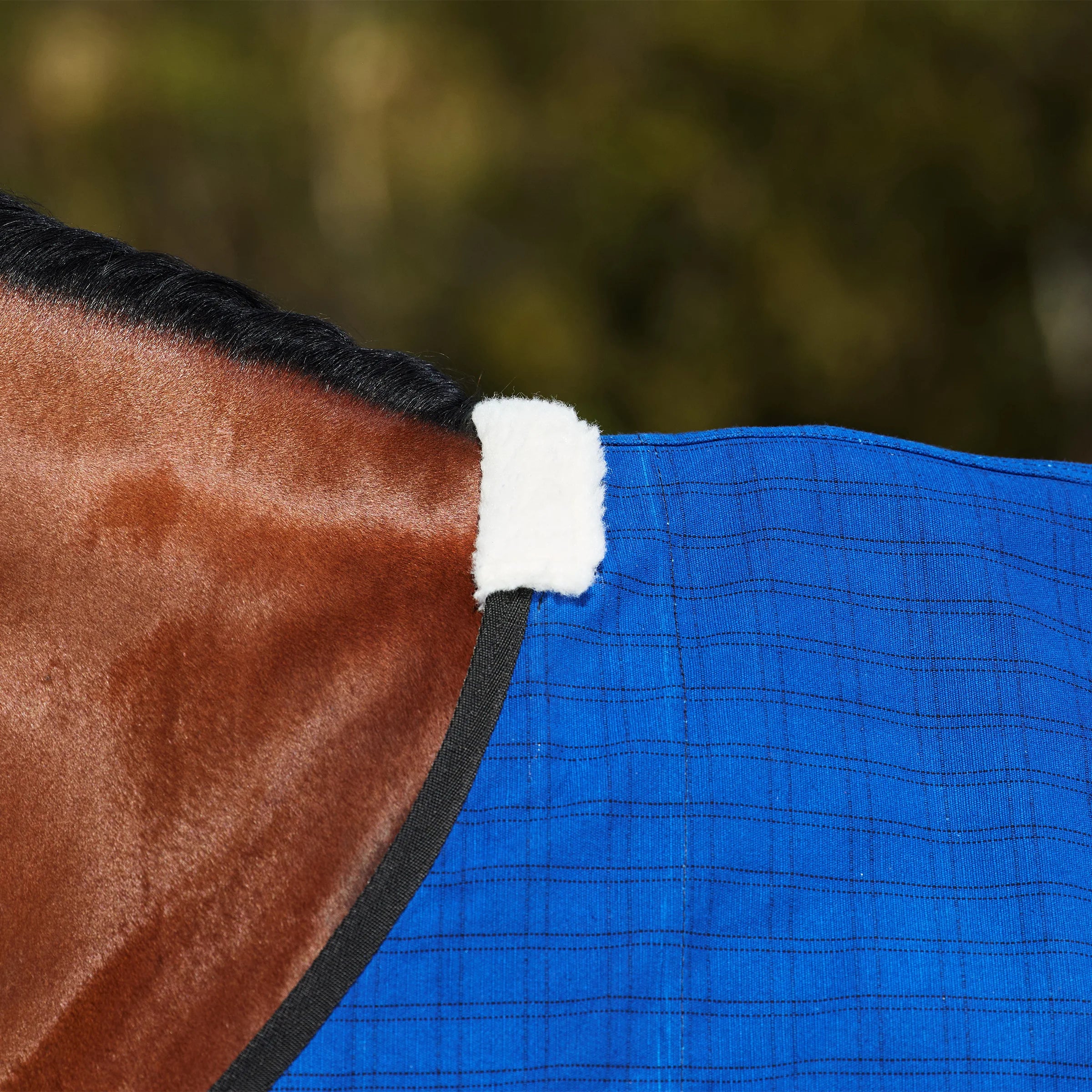 Weatherbeeta Wool Lined Canvas Standard Neck Rug