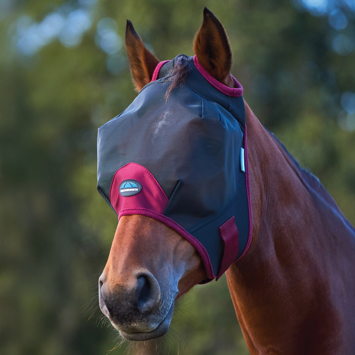 Weatherbeeta ComFiTec Fine Mesh Fly Mask