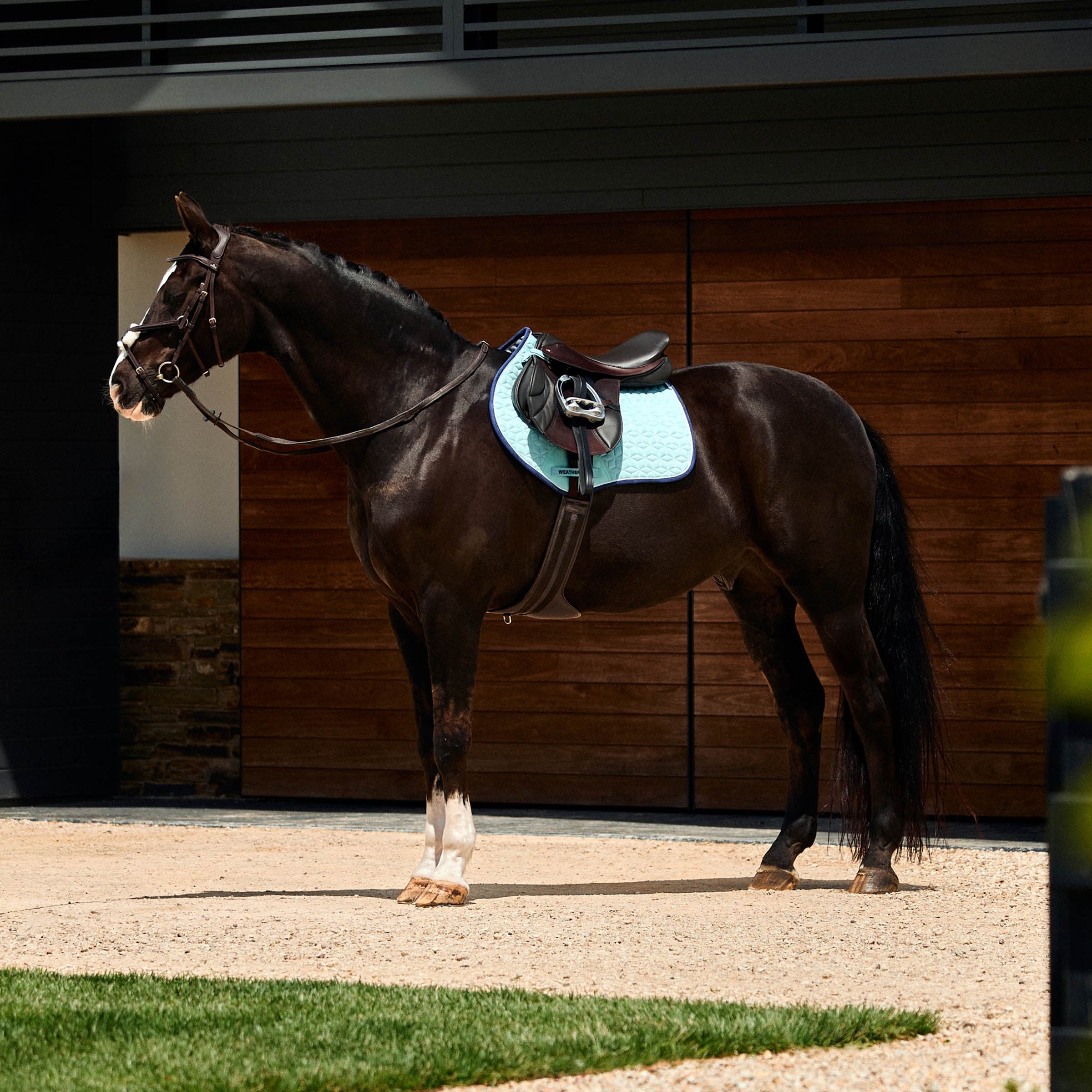 Weatherbeeta Suede Elite Air-Tec Jump Shaped Saddle Pad