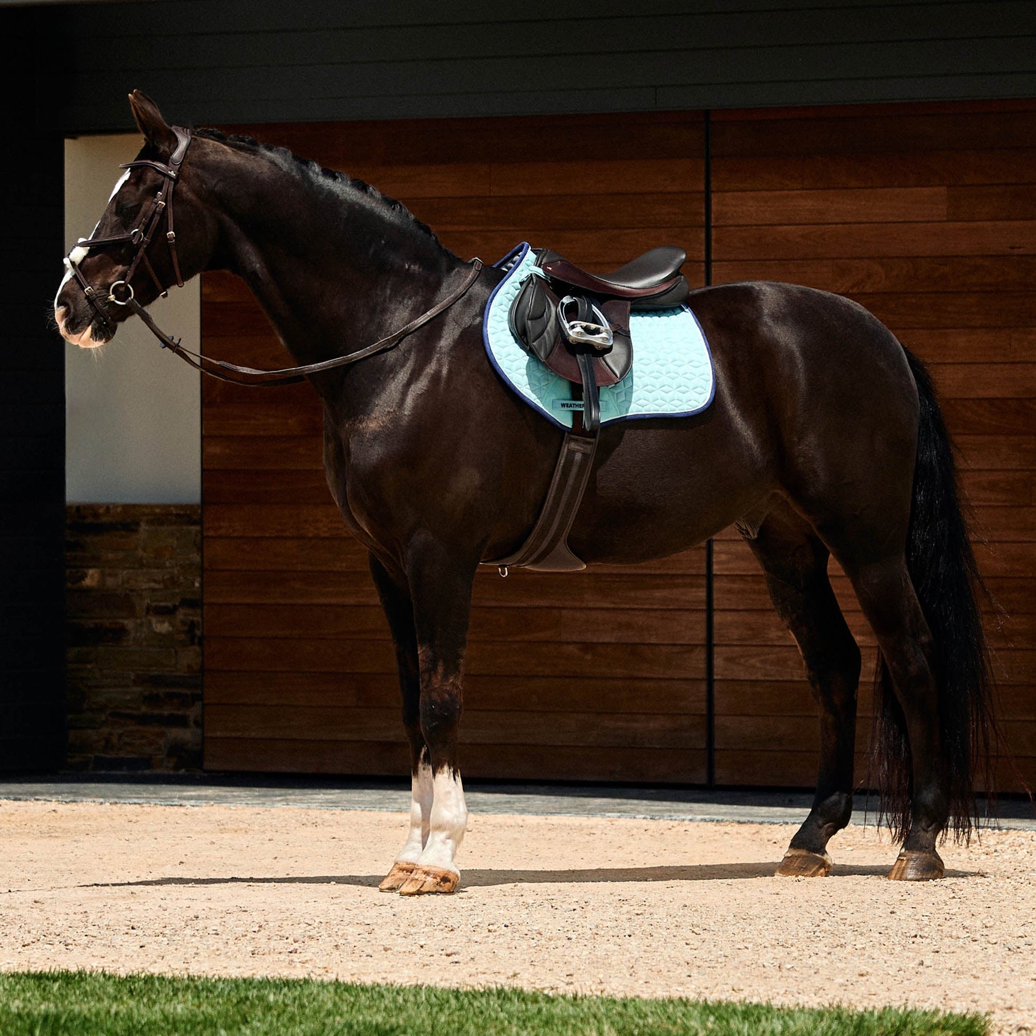 Weatherbeeta Suede Elite Air-Tec Jump Shaped Saddle Pad