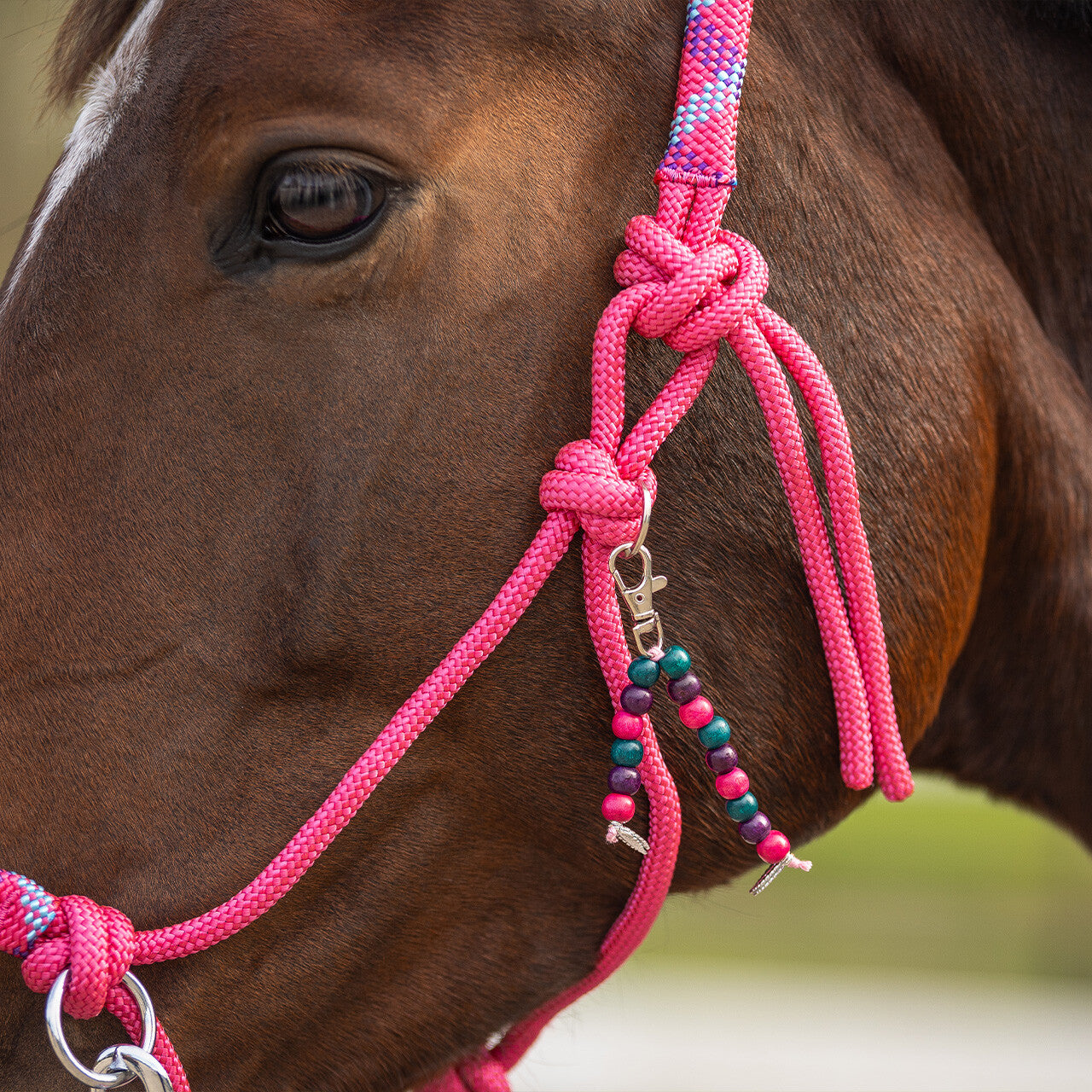 QHP Rope Halter Combi Liberty
