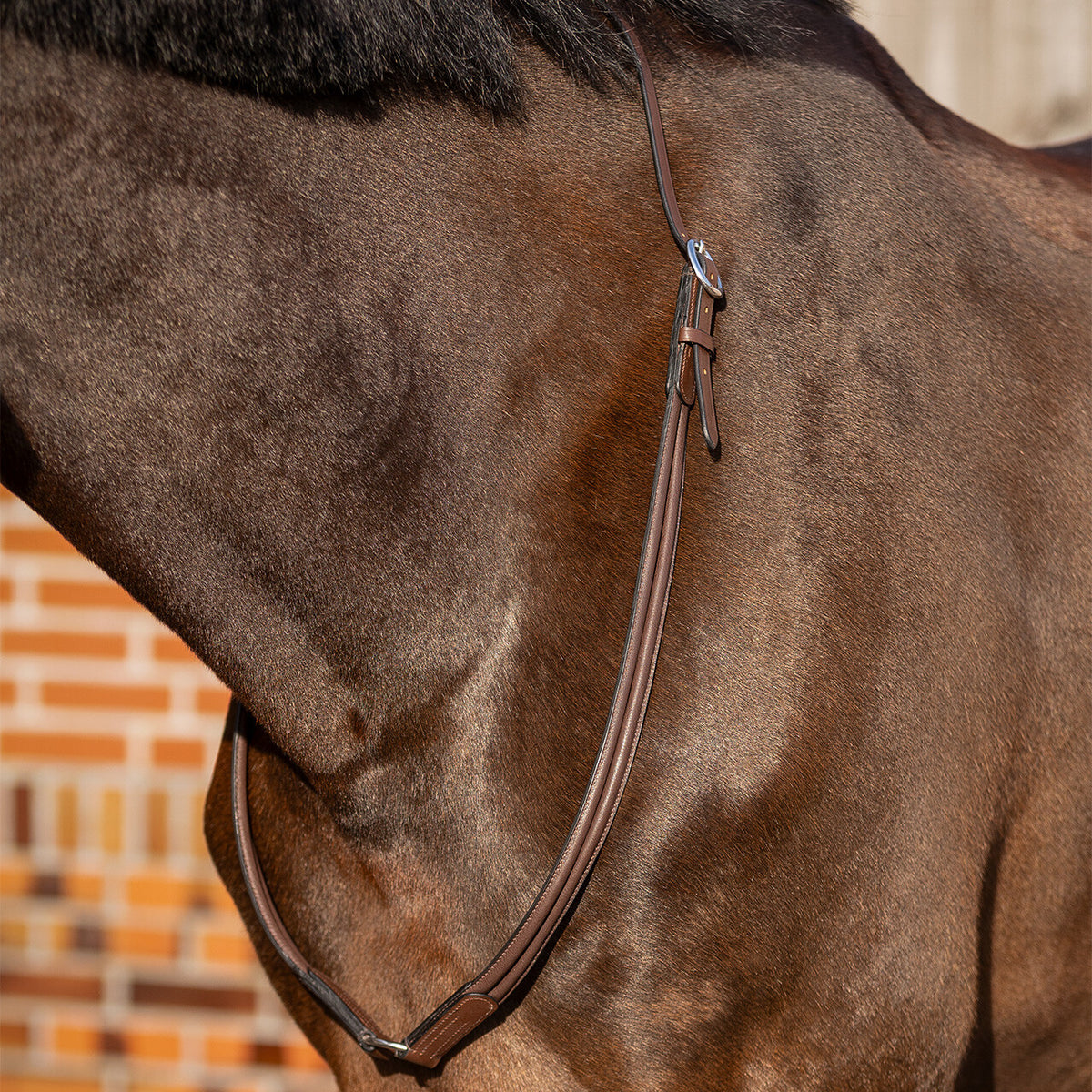 QHP Leather Liberty Neck Rope