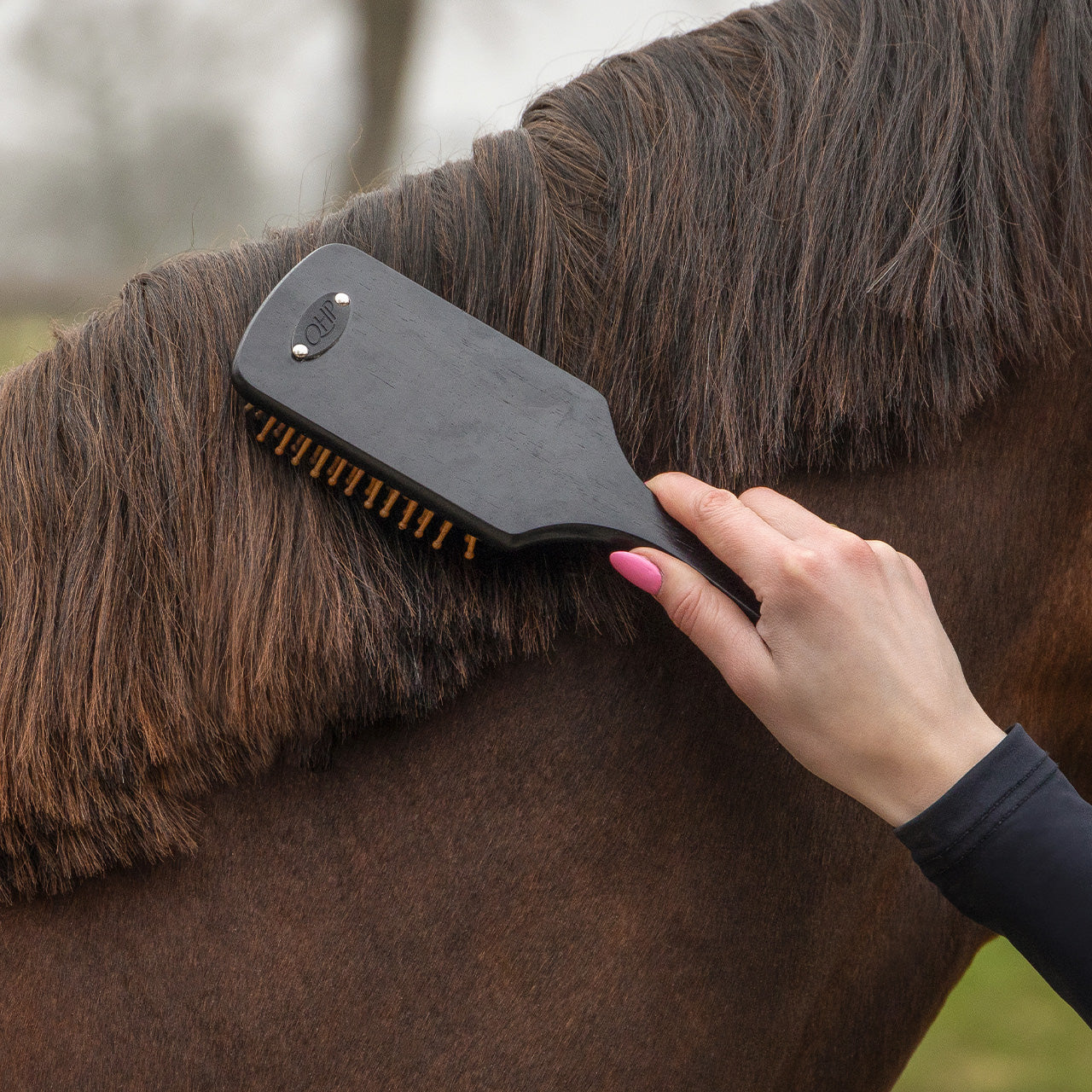 QHP Grooming Set - Royal Black