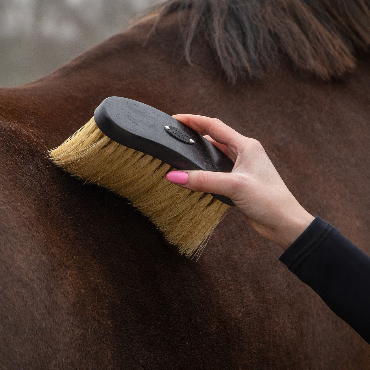QHP Grooming Set - Royal Black