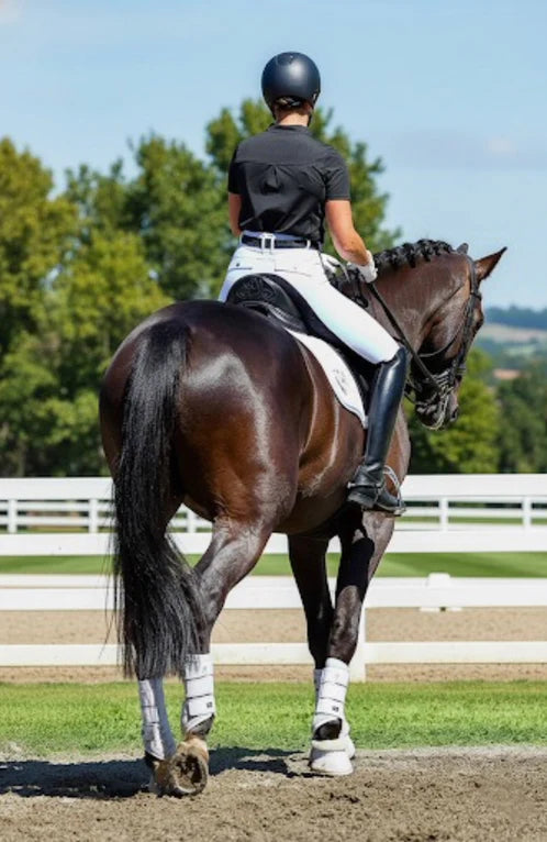 BARE Sculpt Hybrid Riding Breeches - White/Black Seat