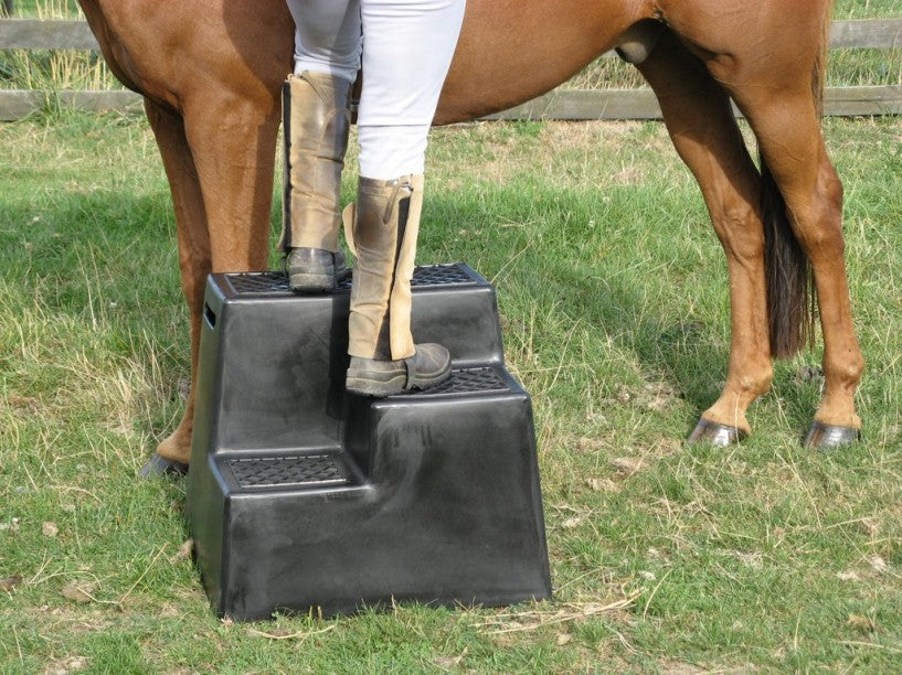 Easy Step Mounting Block