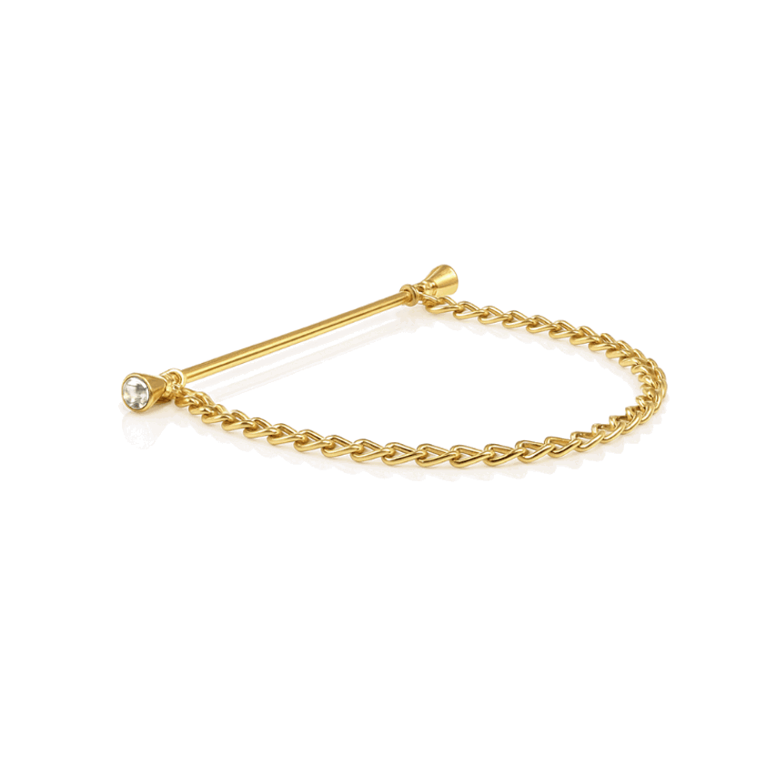 Equetech Crystal Showing Collar Pin and Chain