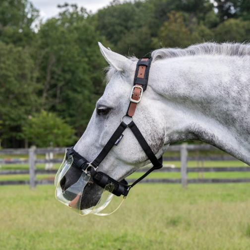 Flexible Filly Grazing Muzzle