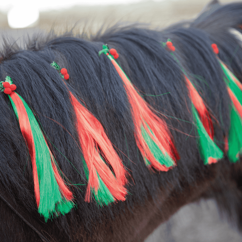 Equetech Christmas Holly Festive Horse Mane Tassels