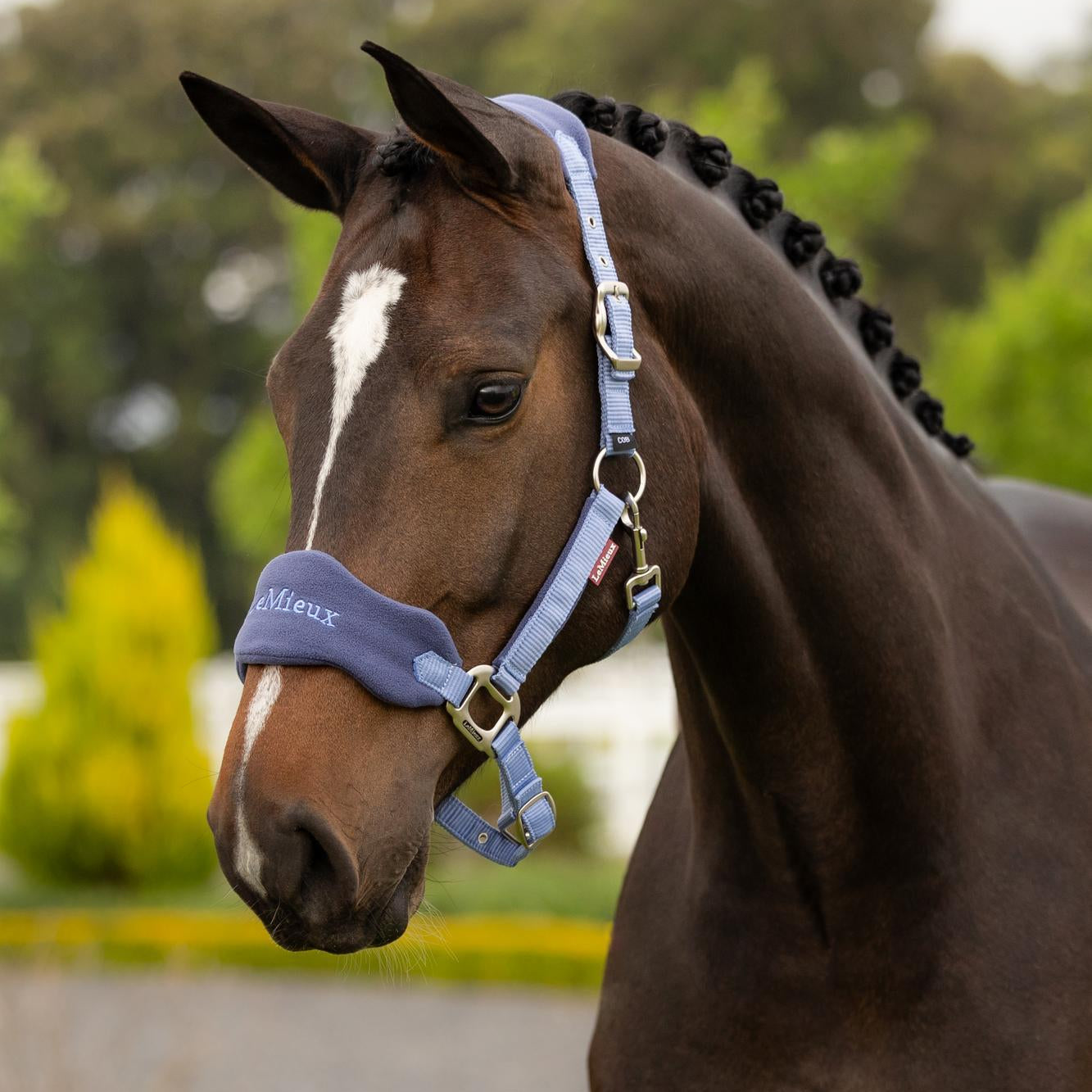 LeMieux Vogue Headcollar & Leadrope - SS26