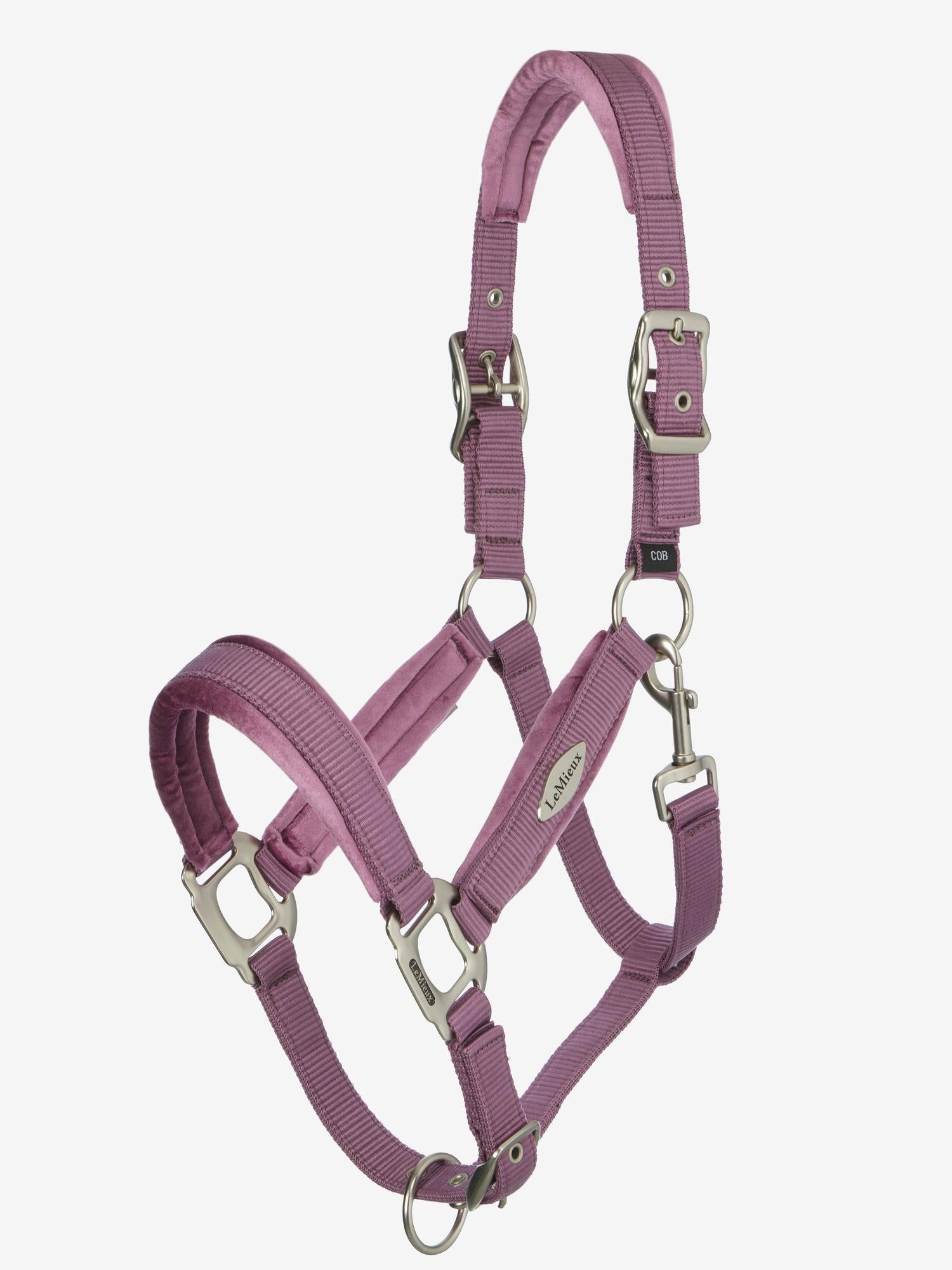 LeMieux Versailles Headcollar - SS26