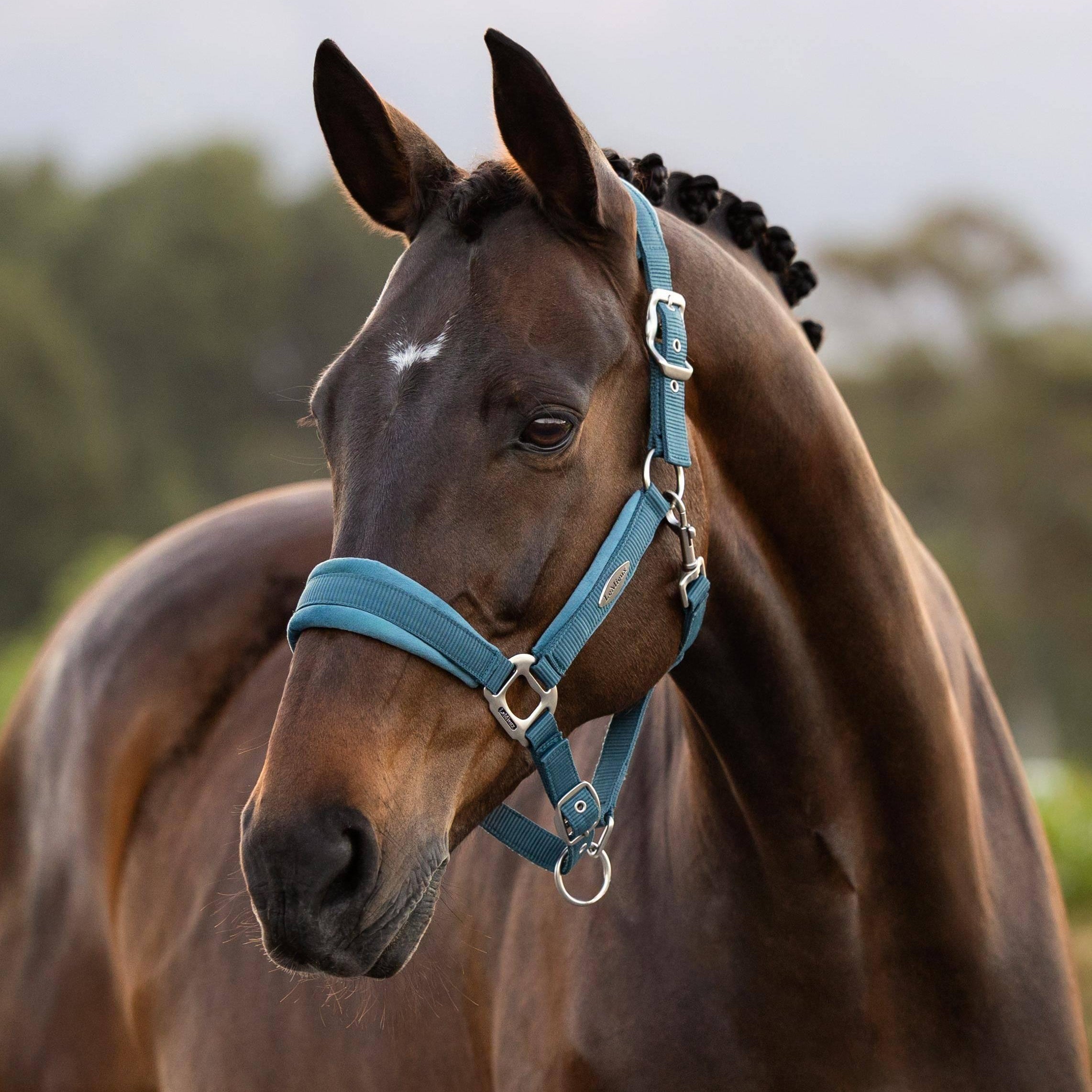 LeMieux Versailles Headcollar - SS26