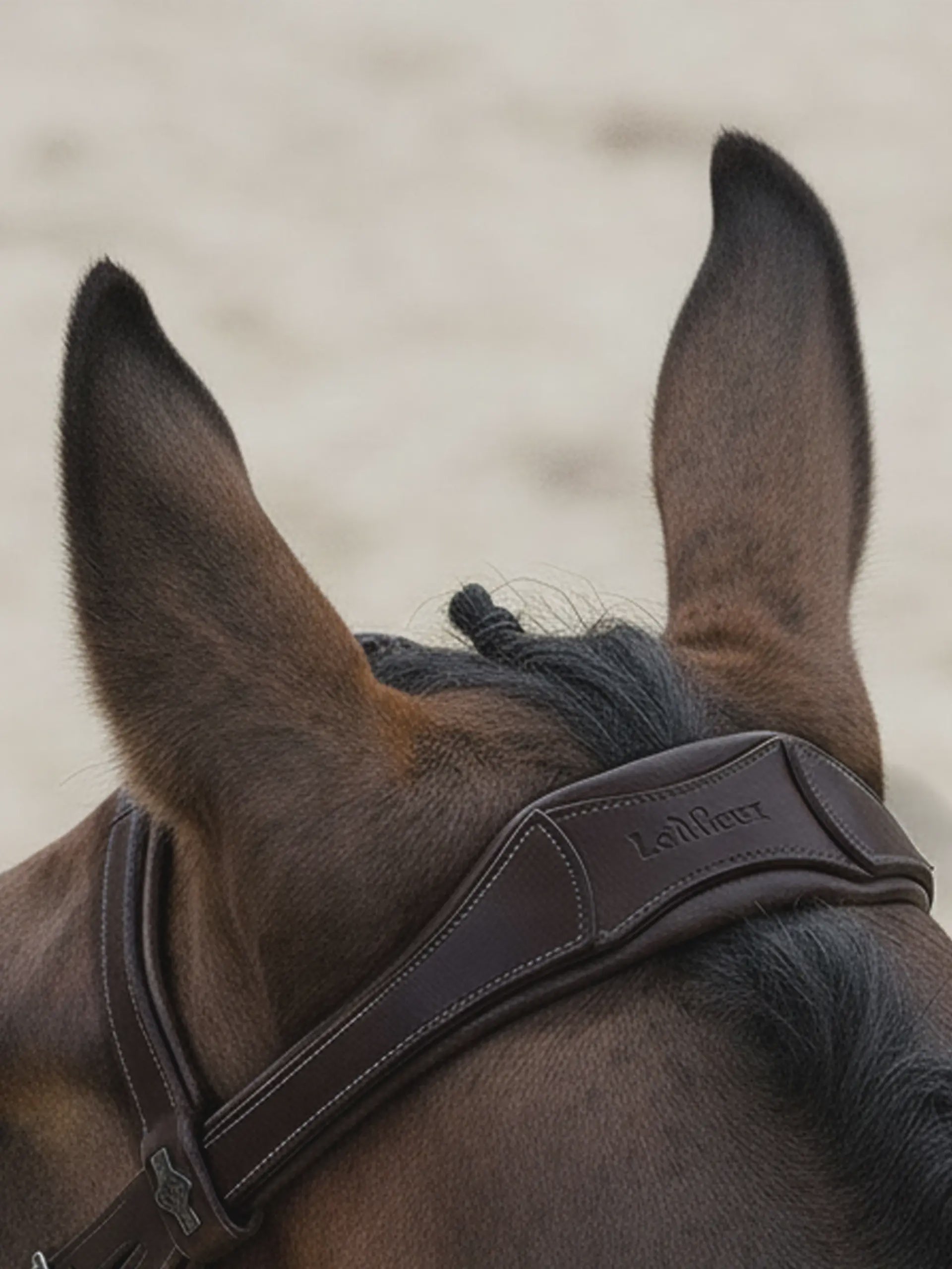 LeMieux Arika Anatomic Flash Bridle