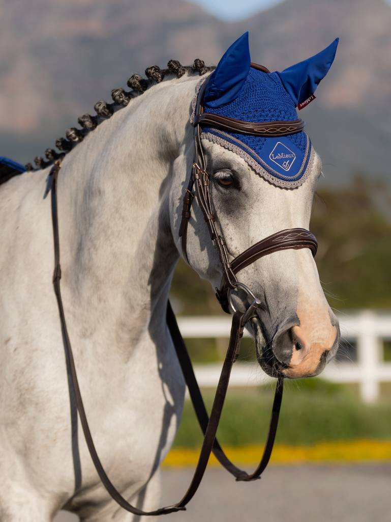 LeMieux Classic Lycra Fly Hood
