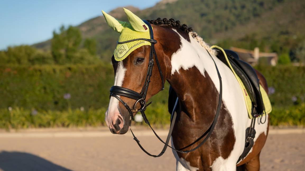LeMieux Classic Lycra Fly Hood