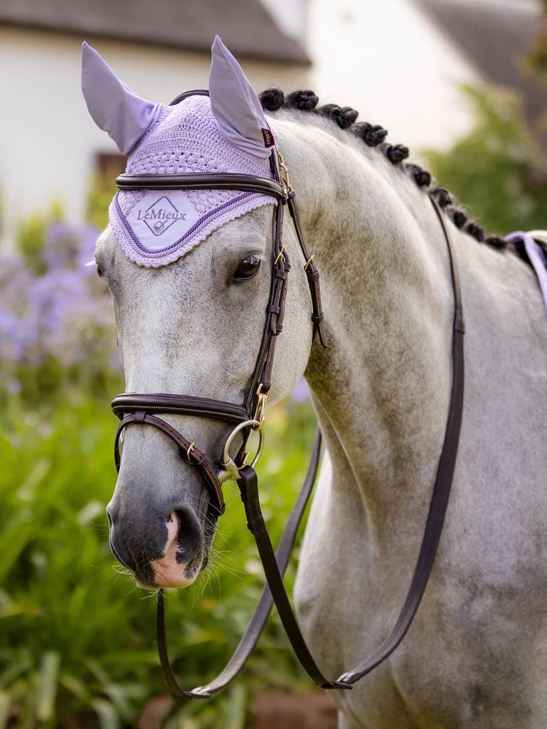 LeMieux Classic Lycra Fly Hood