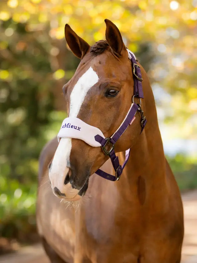 LeMieux Vogue Headcollar & Leadrope - AW25