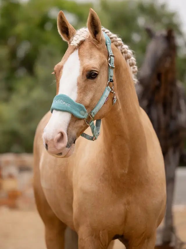 LeMieux Vogue Headcollar & Leadrope - Spring 25