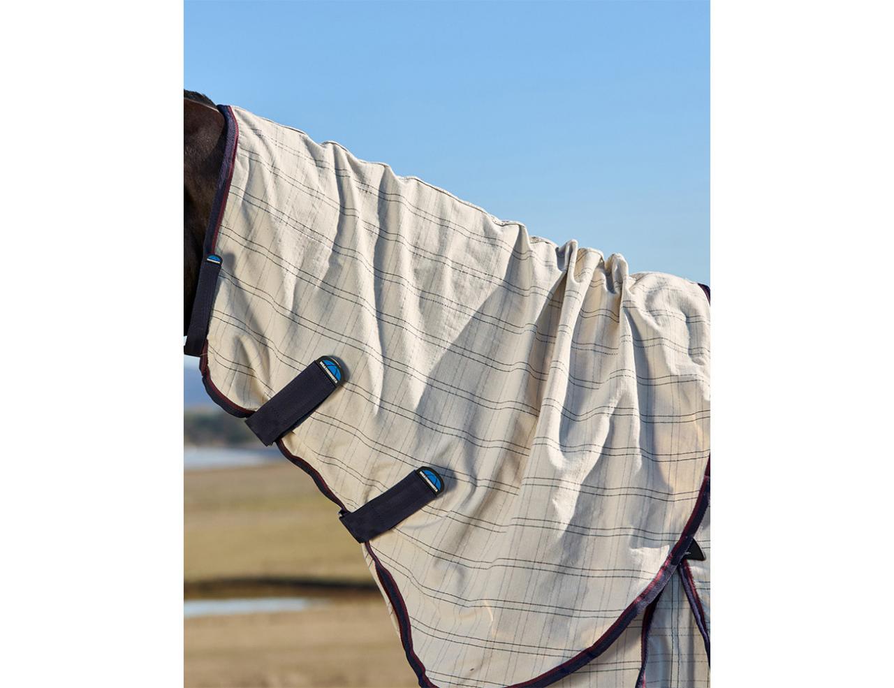 Weatherbeeta Cotton Summer Sheet Combo Cover - New