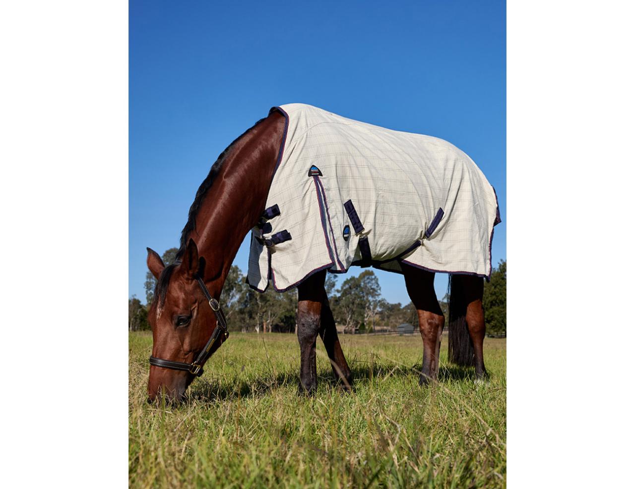 Weatherbeeta Cotton Summer Sheet Standard Neck Cover - New