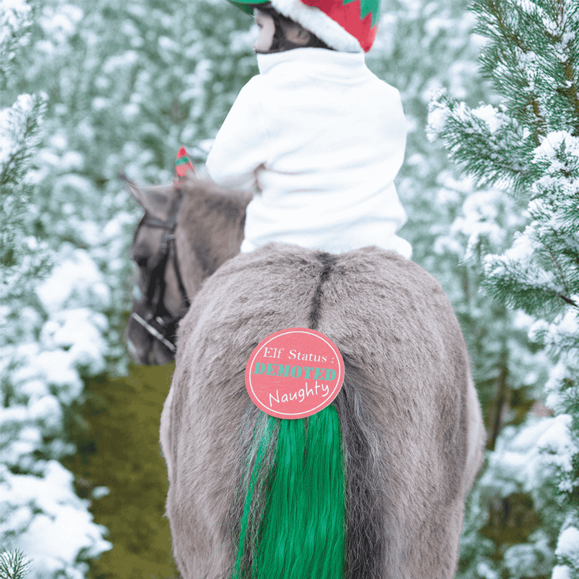 Equetech Green Cheeky Elf Festive Christmas Tail Tassel