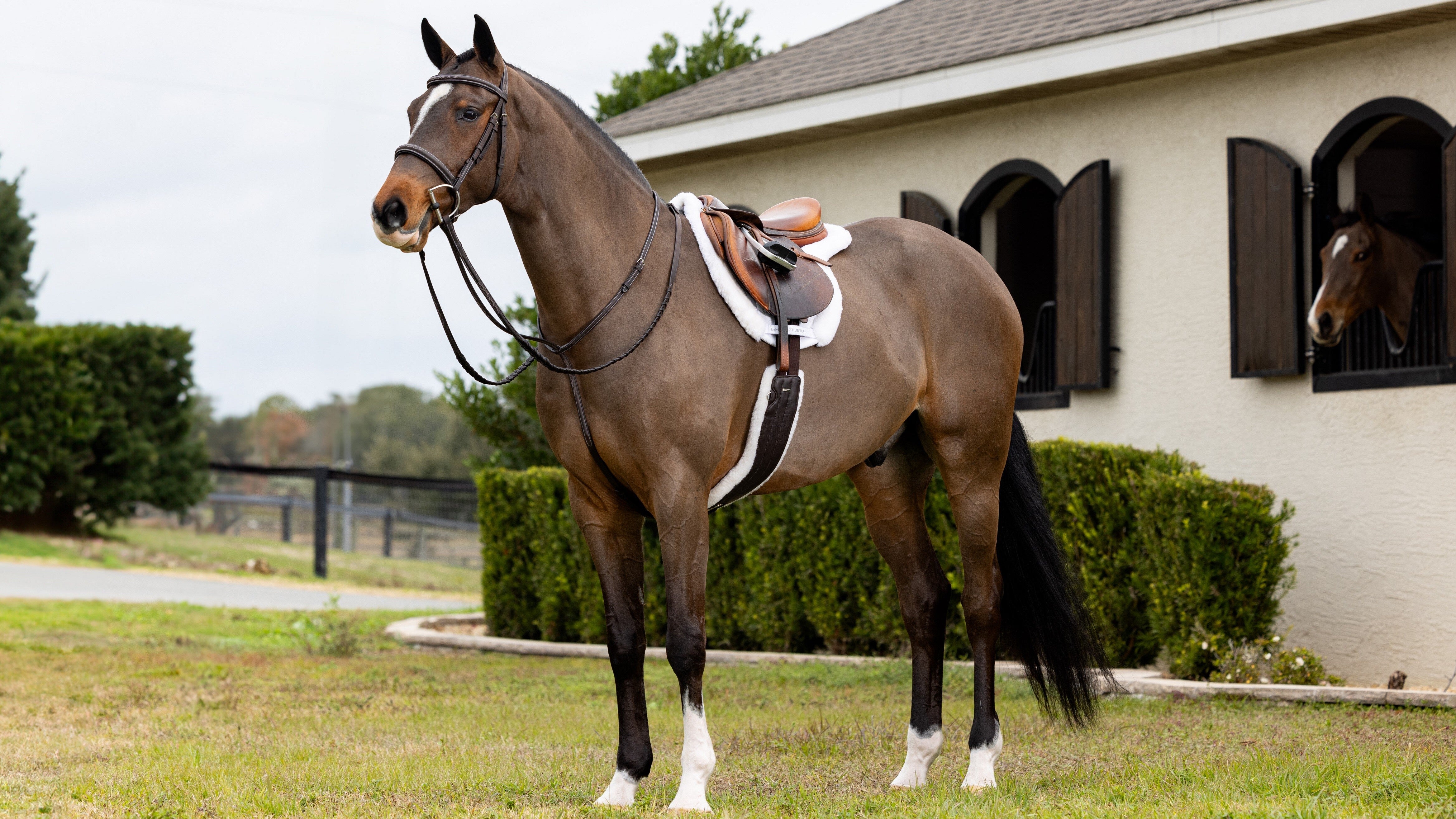 LeMieux Merino + Hunter Saddle Pad