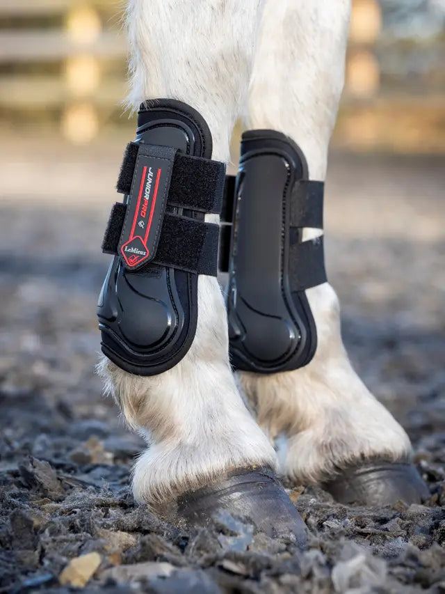 LeMieux Junior Pro Tendon Boots Black