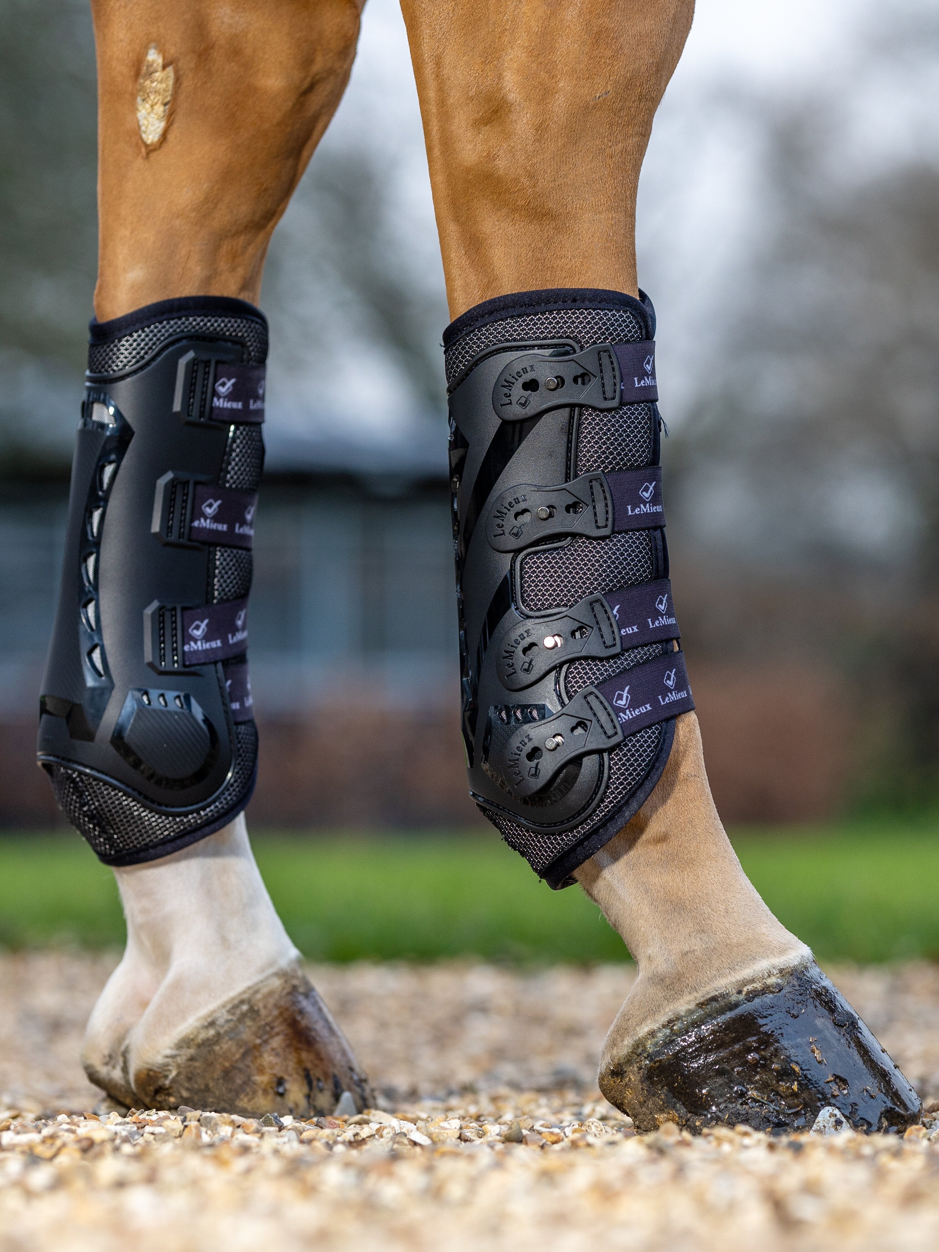 LeMieux Snug Boot Pro Black (Pair)