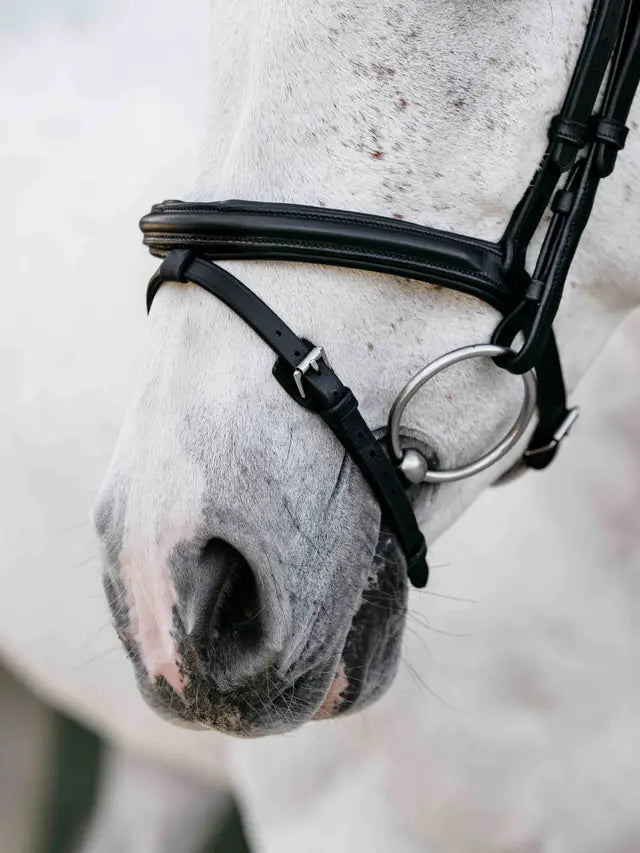 LeMieux Arika Anatomic Flash Bridle