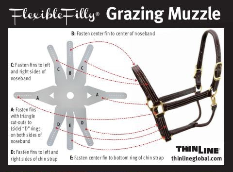 Flexible Filly Grazing Muzzle