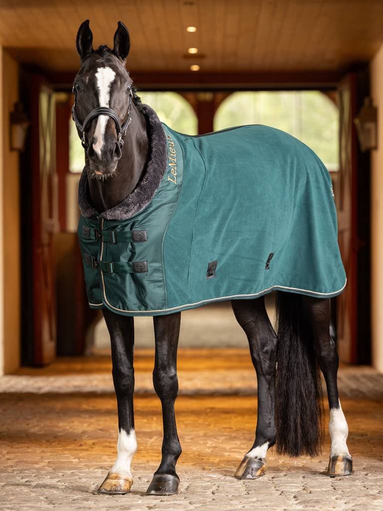 LeMieux Luxe Fleece Rug - AW23