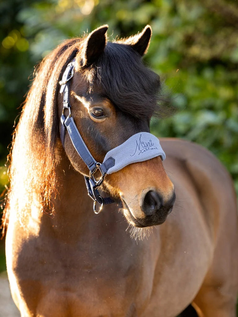 LeMieux Mini Vogue Headcollar & Leadrope -SS23