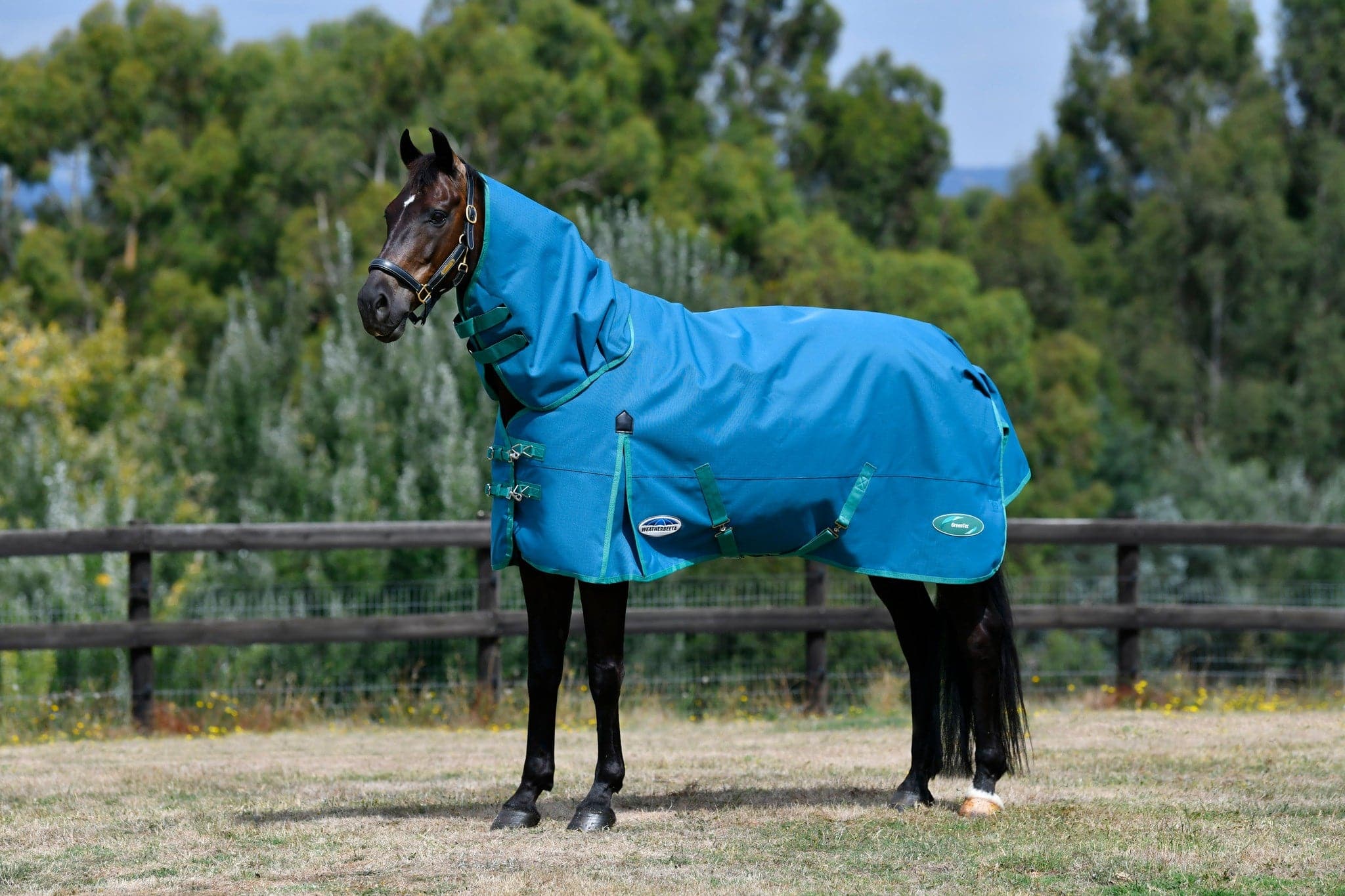 Weatherbeeta Green-Tec 1200D Detach-A-Neck Lite Plus - Dragonfly Blue
