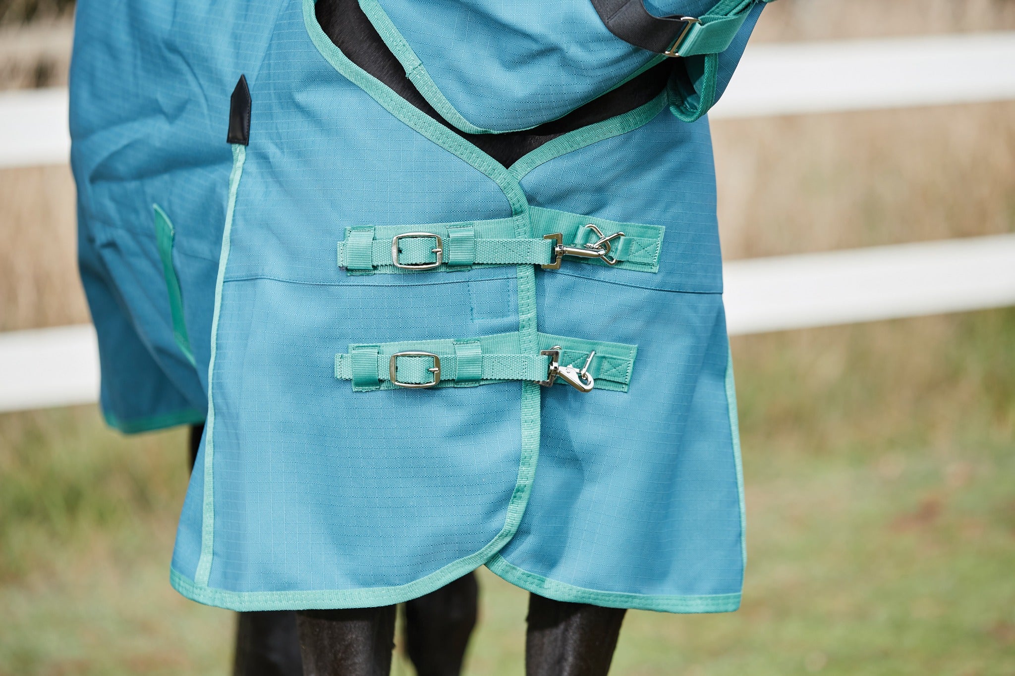 Weatherbeeta Green-Tec 1200D Detach-A-Neck Lite Plus - Dragonfly Blue