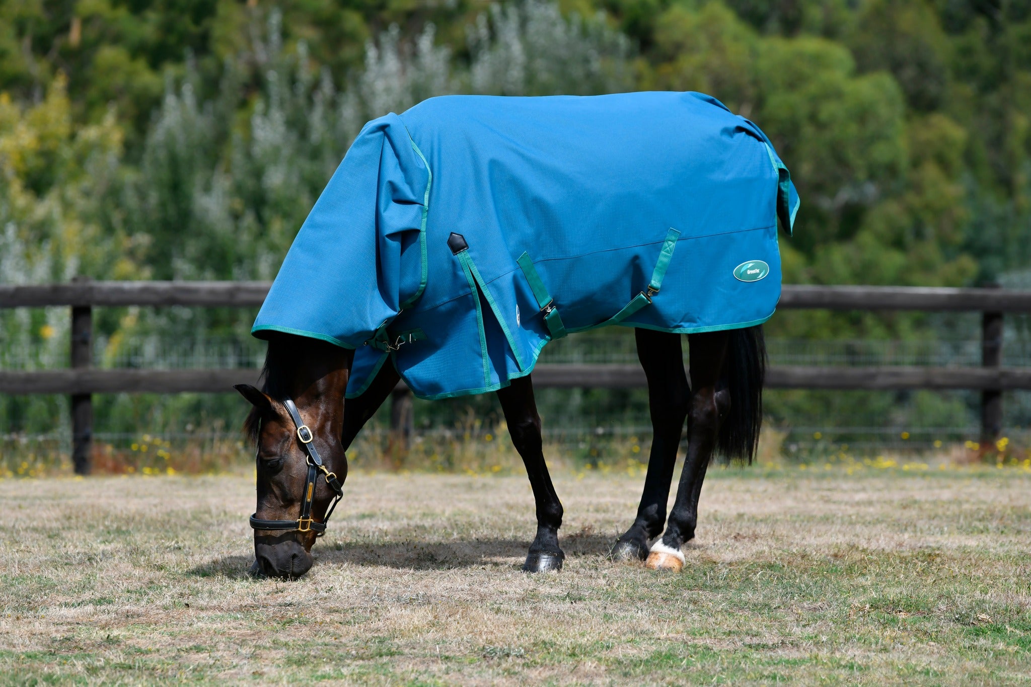 Weatherbeeta Green-Tec 1200D Detach-A-Neck Lite Plus - Dragonfly Blue