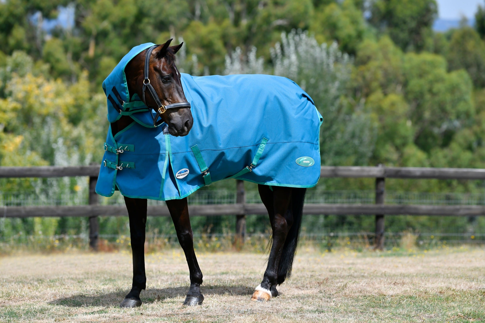 Weatherbeeta Green-Tec 1200D Detach-A-Neck Lite Plus - Dragonfly Blue