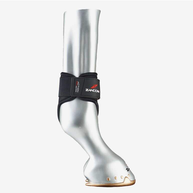 Zandona Action Fetlock
