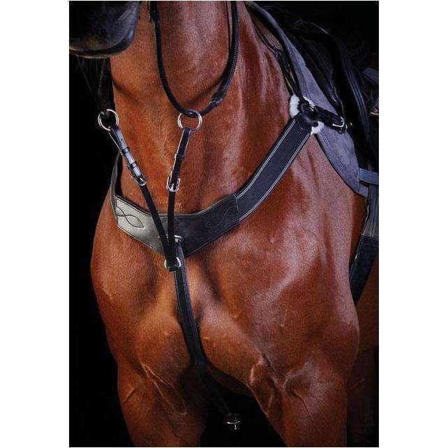 Collegiate Three Point Breastplate