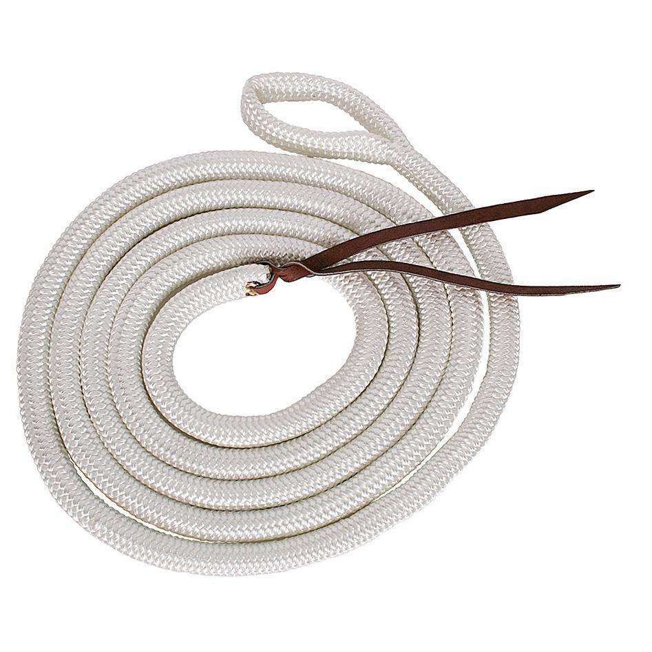 Horsemanship Training Lead