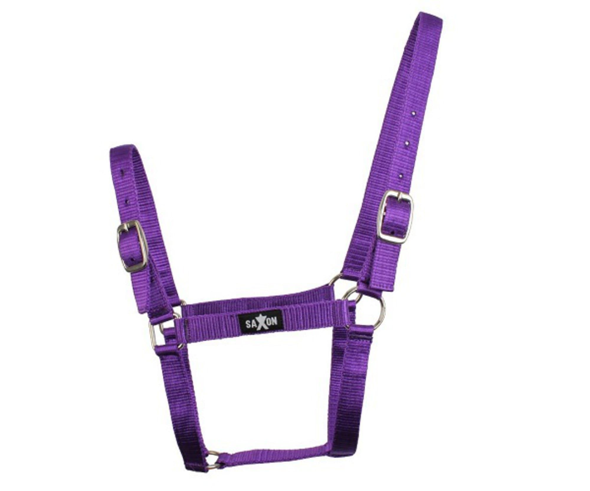 Saxon Economy Headcollar
