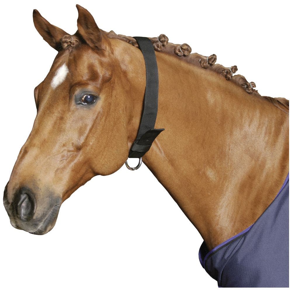 Shoof Webbing Wind Suck Collar