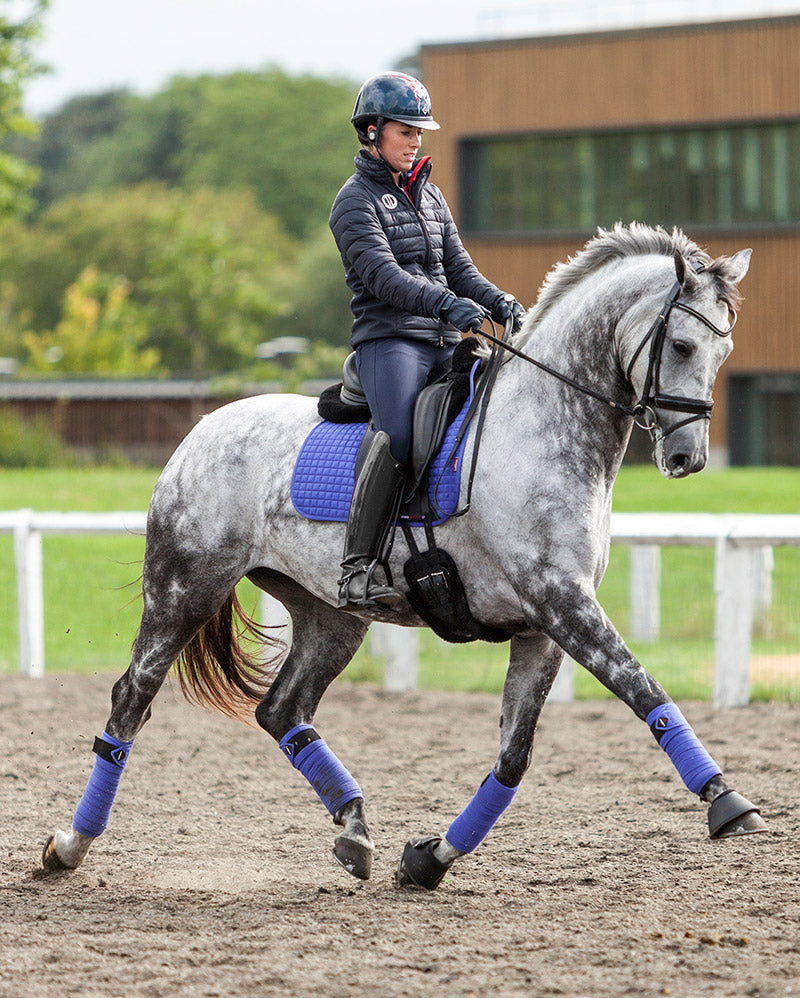 HorseSports are proud stockists of LeMieux Equestrian 