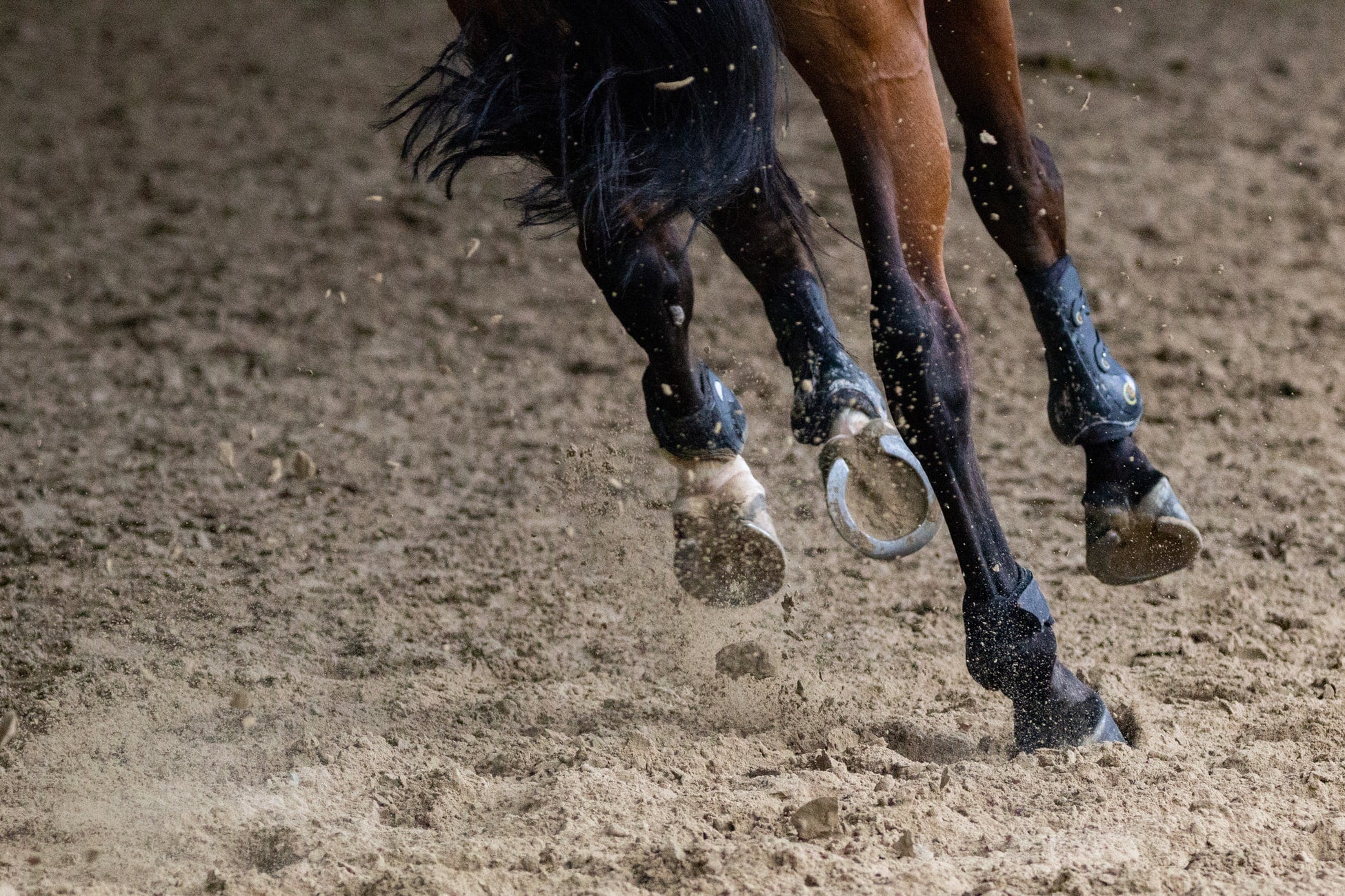 A Tack Shop with a difference