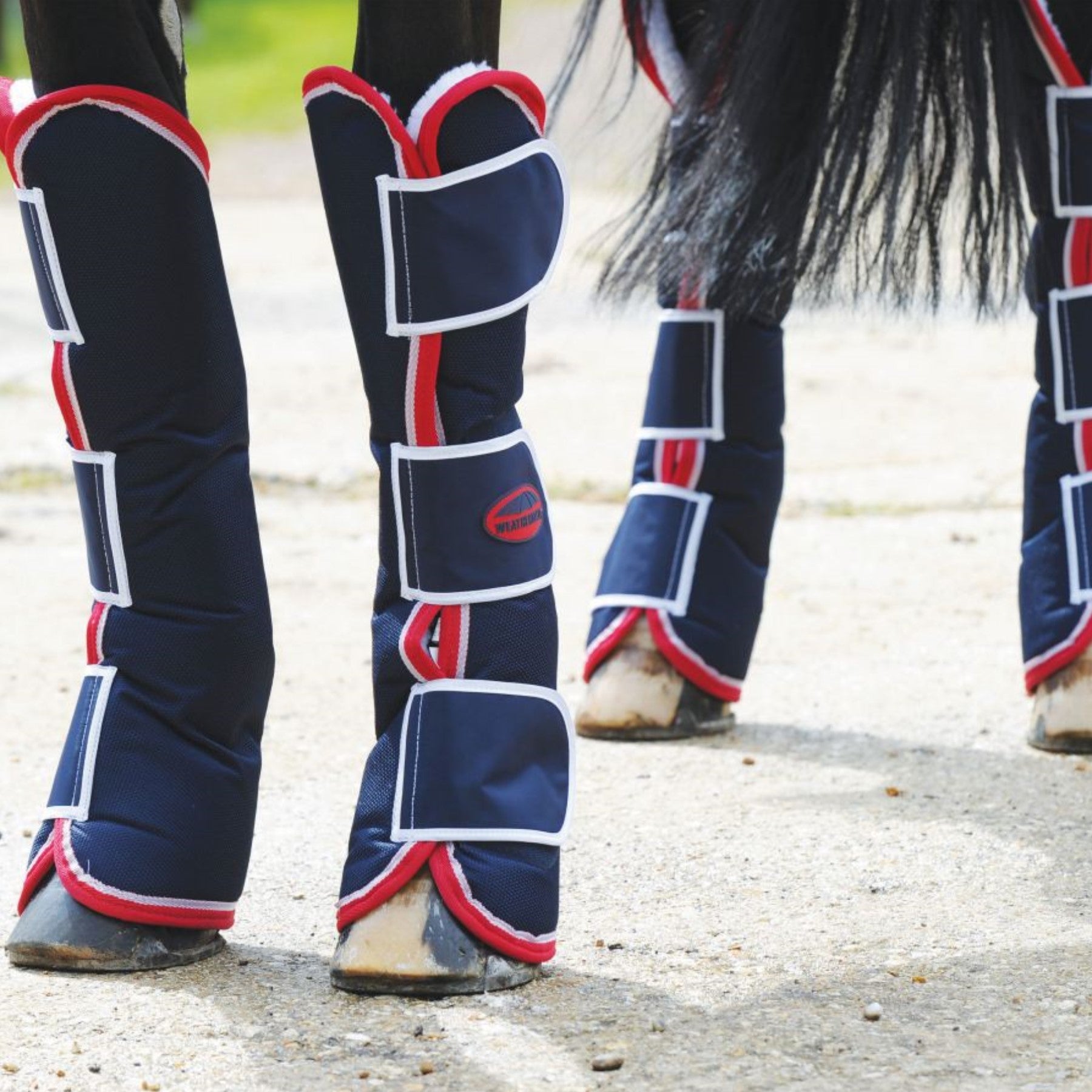 Wraps, Bandages, Stable & Transport Boots