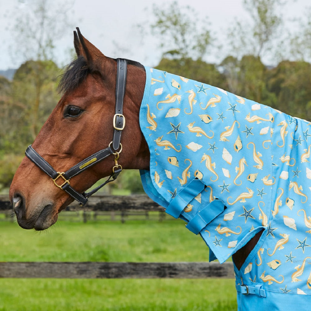 Weatherbeeta Comfitec Essential Combo Lite - Seahorse